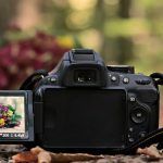 easy tips to help you take great pictures